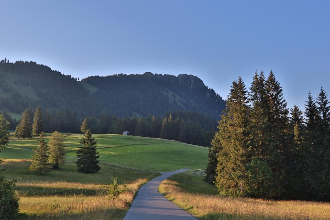Ruhehotel & Naturresort Rehbach - Adults Only Schattwald Buitenkant foto
