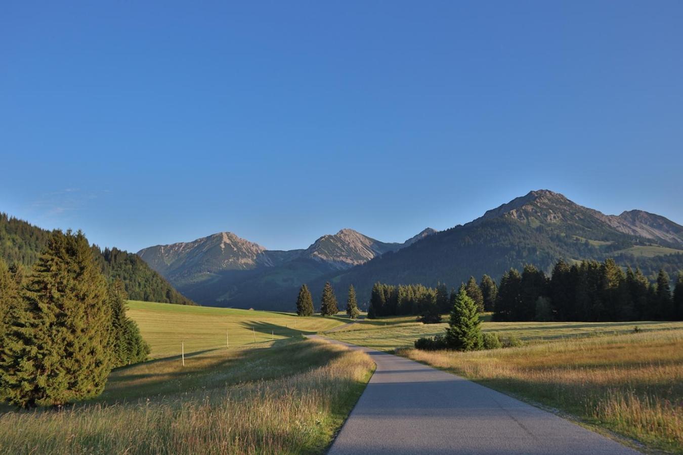 Ruhehotel & Naturresort Rehbach - Adults Only Schattwald Buitenkant foto