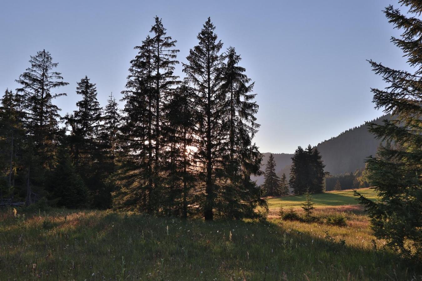 Ruhehotel & Naturresort Rehbach - Adults Only Schattwald Buitenkant foto