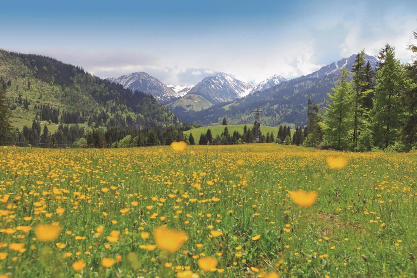 Ruhehotel & Naturresort Rehbach - Adults Only Schattwald Buitenkant foto